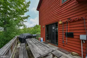 330 Slopeside Rd, Davis, WV 26260 - Photo 21