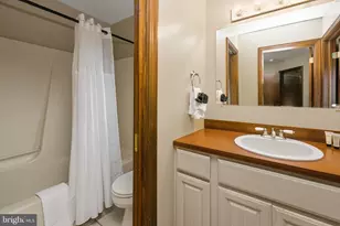330 Slopeside Rd, Davis, WV 26260 - Photo 33