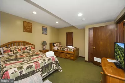 330 Slopeside Road, Davis, WV 26260 - Photo 43