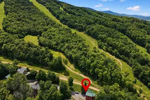 330 Slopeside Rd, Davis, WV 26260 - Photo 11
