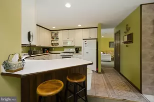 330 Slopeside Rd, Davis, WV 26260 - Photo 23