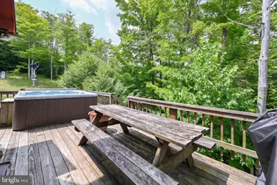 330 Slopeside Road, Davis, WV 26260 - Photo 15