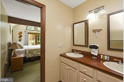 330 Slopeside Road, Davis, WV 26260 - Photo 29