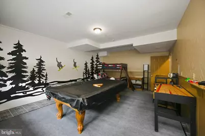 330 Slopeside Road, Davis, WV 26260 - Photo 39