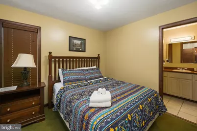 330 Slopeside Road, Davis, WV 26260 - Photo 31