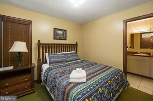 330 Slopeside Rd, Davis, WV 26260 - Photo 31