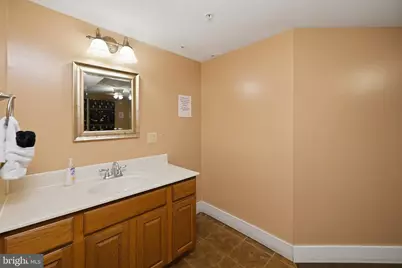 626 Winterset Drive, Davis, WV 26260 - Photo 51