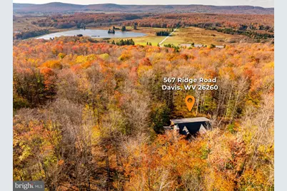 567 Ridge Road, Davis, WV 26260 - Photo 13