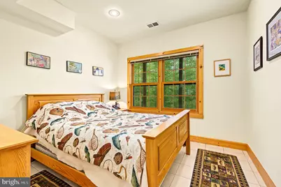 567 Ridge Road, Davis, WV 26260 - Photo 57