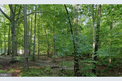 131 Brick Church Road, Davidsonville, MD 21035 - Photo 1