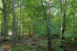 131 Brick Church Rd, Davidsonville, MD 21035 - Photo 1
