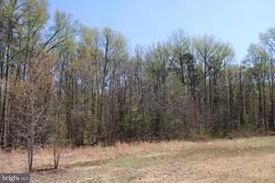 4346 Mountain Rd, Pasadena, MD 21122 - Photo 51