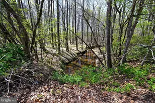 Patuxent River Rd, Davidsonville, MD 21035 - Photo 1