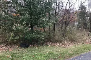 11813 Illinois Ave, Cresaptown, MD 21502 - Photo 1