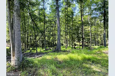 11115 Hinkle Road NE, Cumberland, MD 21502 - Photo 1