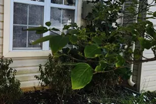 4108 Brown Bark Cir, Randallstown, MD 21133 - Photo 1