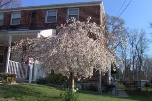 1666 Mussula, Towson, MD 21286 - Photo 1