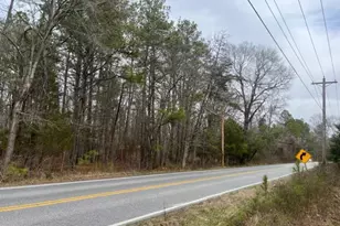 Billingsley, Bryans Road, MD 20616 - Photo 1
