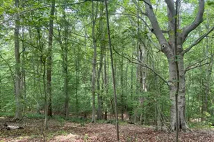 7575 Mason Springs Rd, La Plata, MD 20646 - Photo 1