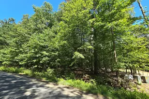 Laurel Ln, Denton, MD 21629 - Photo 1