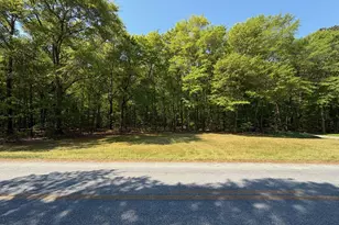 Parcel 15 Newton Rd, Preston, MD 21655 - Photo 1