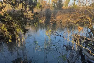 Route 343, Cambridge, MD 21613 - Photo 1