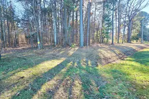 Sika Whitetail & Turkey Church Creek Rd, Cambridge, MD 21613 - Photo 1