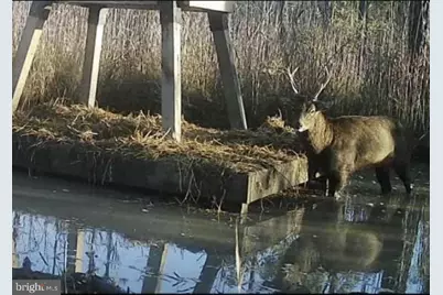 2651 Lakesville Crapo Road, Crapo, MD 21626 - Photo 1