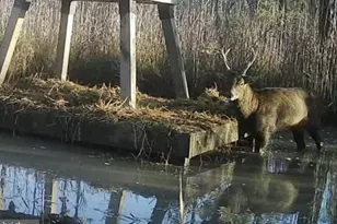 2651 Lakesville-Crapo Rd, Crapo, MD 21626 - Photo 1