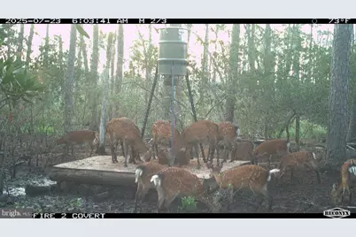 2257 Wingate Bishops Head Road, Wingate, MD 21675 - Photo 1