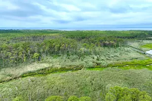 0 Hoopers Neck Rd, Taylors Island, MD 21669 - Photo 1