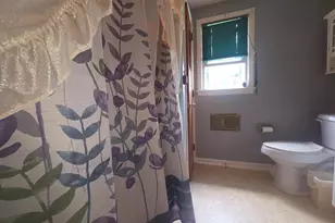 5880 Cardinal St, Mount Jackson, VA 22842 - Photo 15