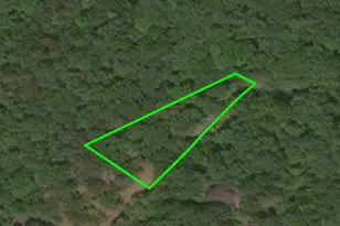 Lot 41 Nicklaus, Basye, VA 22810 - Photo 1