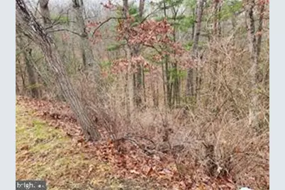 Moccasin, Basye, VA 22810 - Photo 1