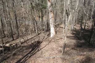 180 Spruce Ln, Mount Jackson, VA 22842 - Photo 1