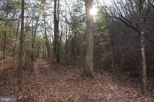 John Marshall Hwy, Strasburg, VA 22657 - Photo 1
