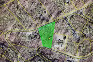 Lot 49 Dooley, Basye, VA 22810 - Photo 1