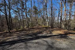 Ewells Ridge Rd, Basye, VA 22810 - Photo 1