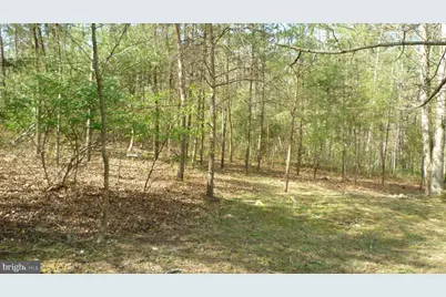 Lot 187 Sandpiper Dr., Basye, VA 22810 - Photo 1
