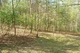 Lot 187 Sandpiper Dr, Basye, VA 22810 - Photo 1
