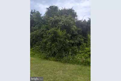 0 Lewis Estates Lane - Lot 5, Spotsylvania, VA 22551 - Photo 1