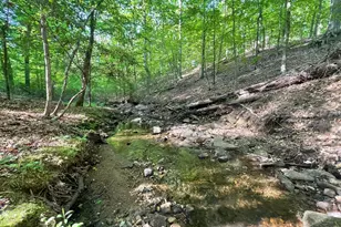 Lot 3 Deer Mountain Rd, Fredericksburg, VA 22407 - Photo 1