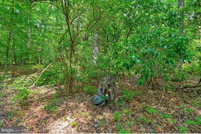 0 Alsop Way, Spotsylvania, VA 22551 - Photo 1