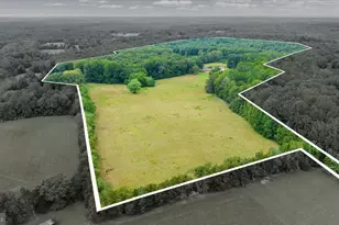 45 Bowling Farm Ln, Fredericksburg, VA 22406 - Photo 1