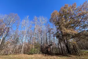 Morton Rd/ Leeland, Fredericksburg, VA 22405 - Photo 1