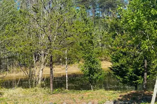55 Stony Hill Rd, Fredericksburg, VA 22406 - Photo 1
