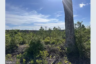 0 Mt Holly Road, Montross, VA 22520 - Photo 1