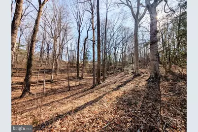 Lot 74 Plantation Drive, Montross, VA 22520 - Photo 1