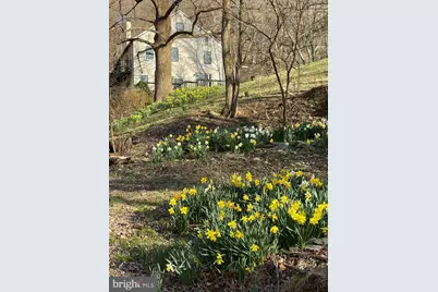 236 Piedmont Orchard Road, Linden, VA 22642 - Photo 1