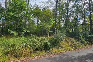 Panoramic Ln, Front Royal, VA 22630 - Photo 1